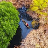 Hành trình khám phá rừng ngập mặn Rú Chá ở Huế