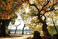 5 địa điểm du lịch miền bắc vào mùa thu không thể bỏ lỡ