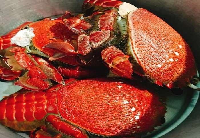 Mách bạn các địa điểm ăn uống không thể bỏ lỡ tại Đảo Phú Quý