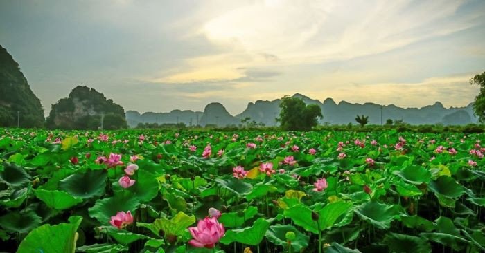 Tiền Giang có gì chơi?