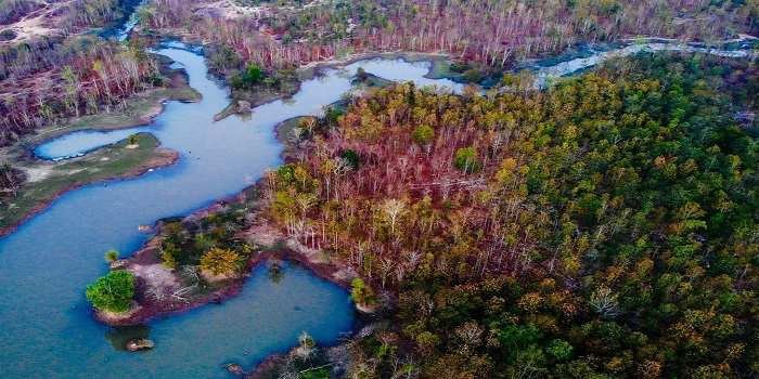 Về Bản Đôn thăm rừng xanh đại ngàn