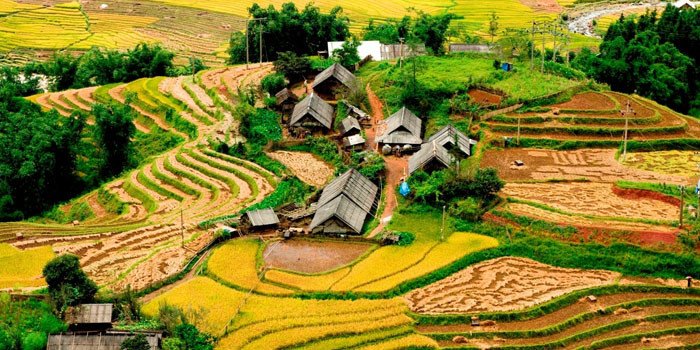 Khám phá Bản Tả Phìn - Vẻ đẹp hoang sơ yên bình của Sapa