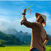 Khám phá Đồng Lâm 2 ngày 1 đêm