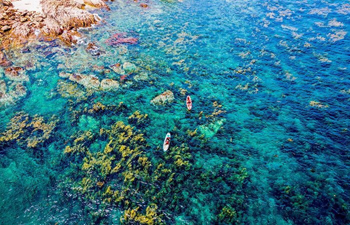 Nhơn Hải - Làng chài với vẻ đẹp hoang sơ  bình dị tại Quy Nhơn