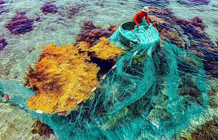 Nhơn Hải - Làng chài với vẻ đẹp hoang sơ  bình dị tại Quy Nhơn