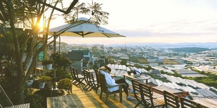 TOP 05 tiệm cà phê Đà Lạt rất xanh và rất thơ
