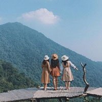 Cầu Mây Tam Đảo - Điểm check in lí tưởng cùng hội bạn thân