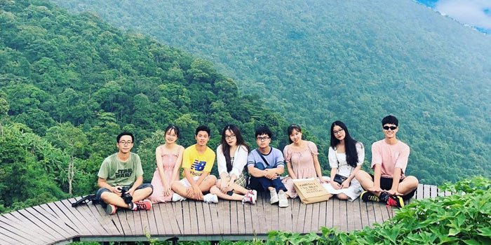 Cầu Mây Tam Đảo - Điểm check in lí tưởng cùng hội bạn thân