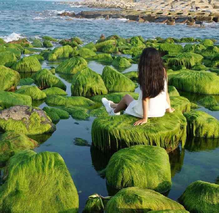 Chia sẻ kinh nghiệm Checkin tại Kè chắn sóng Xóm Rớ Phú Yên