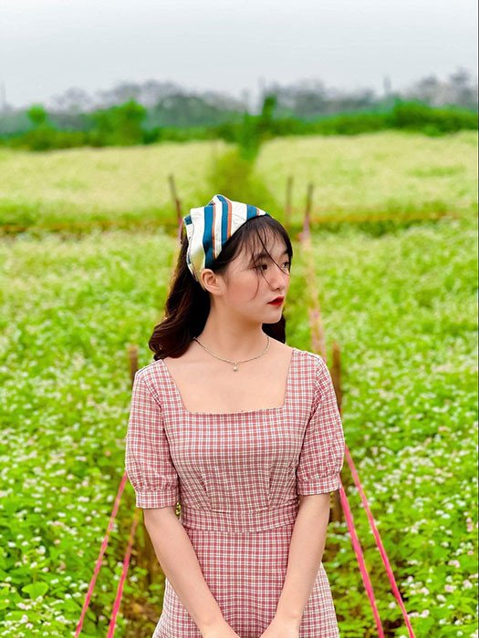 Chimi Farm - Vườn dâu tây Hà Nội hot hit nhất hiện nay