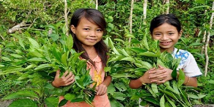 Chinh phục Núi Cà Đam – Viên ngọc xanh giữa núi rừng Quảng Ngãi