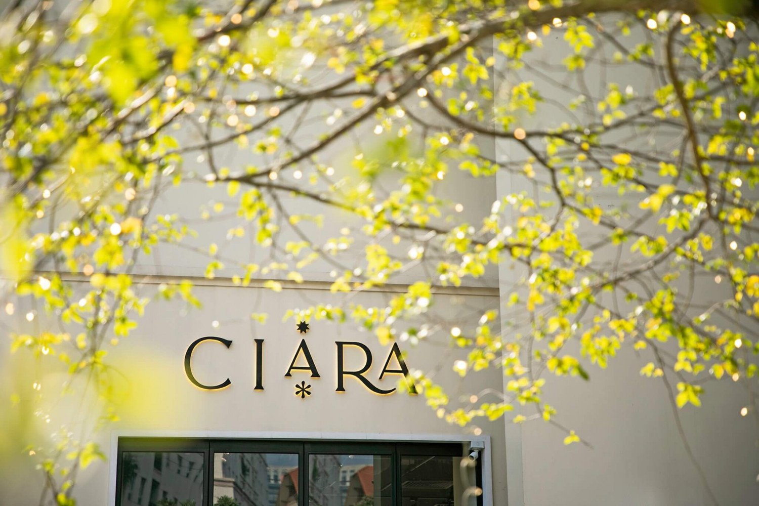 Khu vườn CIARA TERRACE CAFE tràn ngập nắng, hương sắc khi hè về