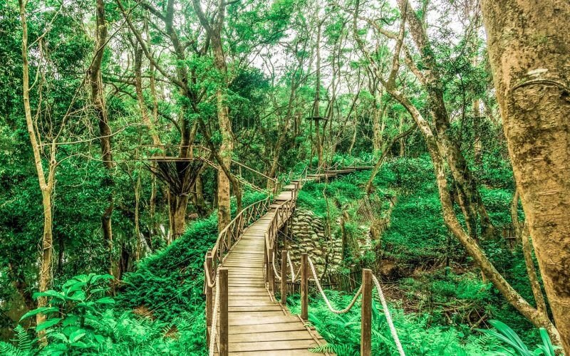 Khám phá ngay công viên Ozo Quảng Bình với muôn vàn trò chơi hấp dẫn