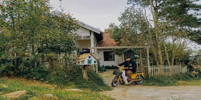 Đà Lạt mùa lá phong đứng đâu cũng thấy đẹp