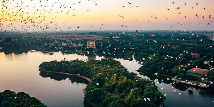 Kinh nghiệm du lịch Đảo Cò Chi Lăng: Địa điểm dã ngoại lý tưởng