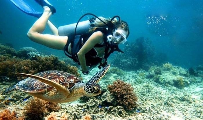 Ghé thăm Đảo Mê – Hòn đảo đẹp tựa thiên đường ở xứ Thanh