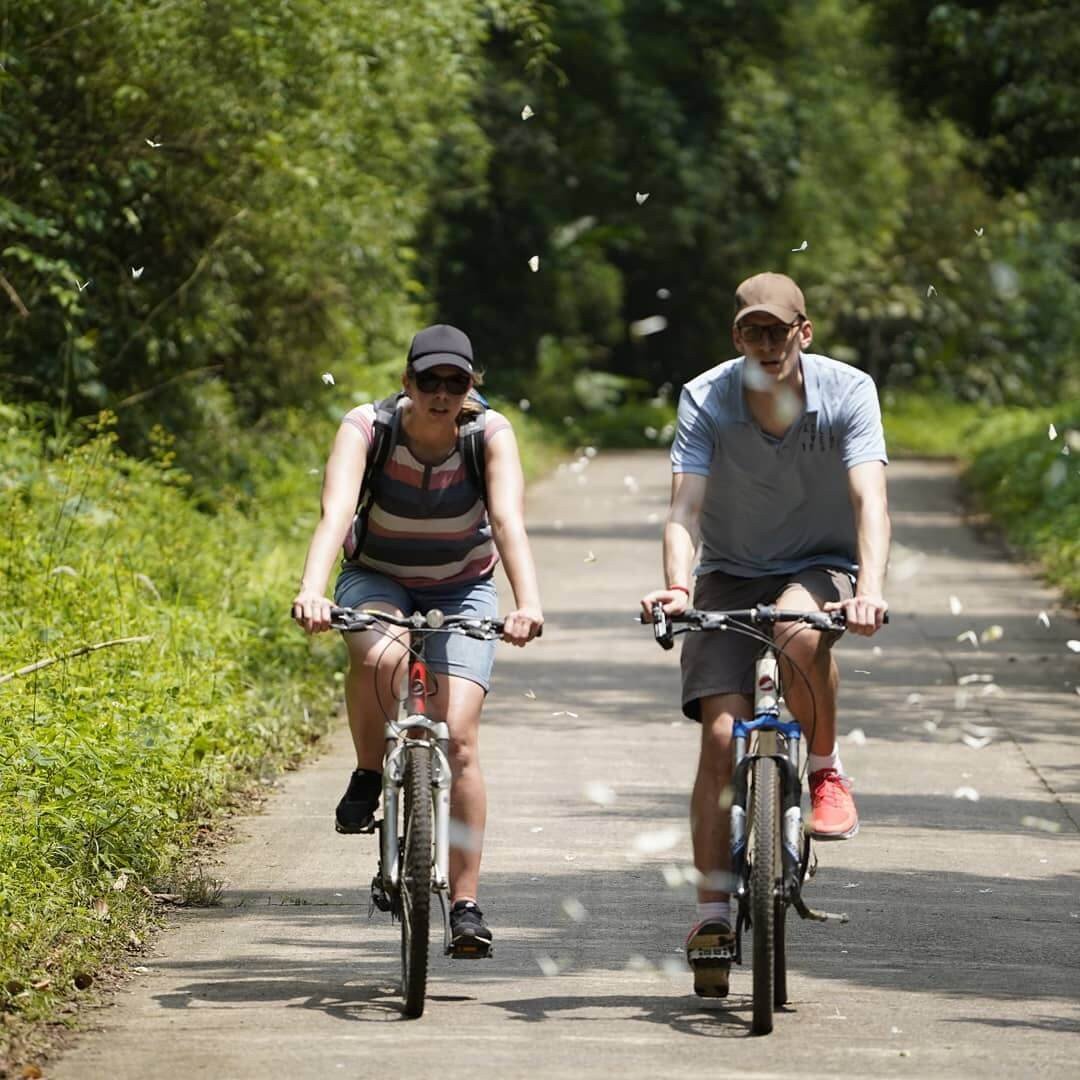 Tổng hợp những trải nghiệm khi du lịch Vườn quốc gia Cúc Phương