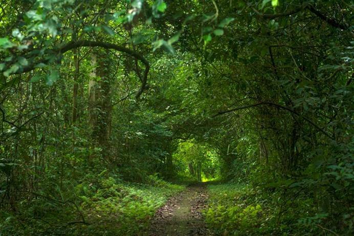 Hướng dẫn di chuyển du lịch vườn Quốc gia Cúc Phương - Ninh Bình