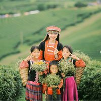 TOP 7 địa điểm du lịch miền Bắc cực hấp dẫn dịp Tết Nguyên Đán