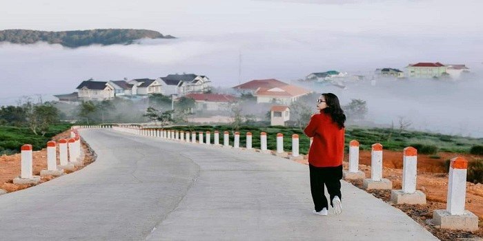 Đồi chè Cầu Đất – Địa điểm săn mây siêu HOT tại Đà Lạt