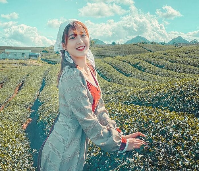 Những trải nghiệm thú vị tại đồi chè trái tim Mộc Châu - Sơn La