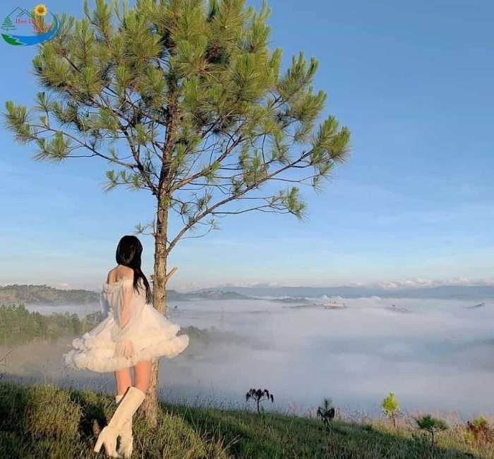 Đồi Thiên Phúc Đức – Thánh địa săn mây tại Đà Lạt
