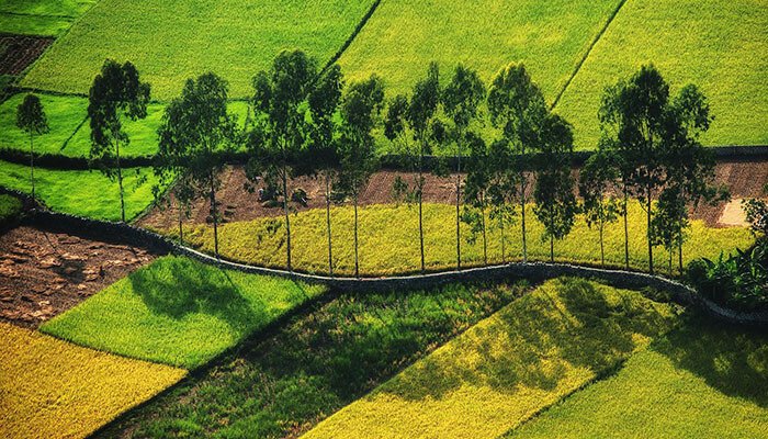 Bắc Sơn : Cẩm nang du lịch thung lũng mùa lúa chín đẹp như tranh vẽ