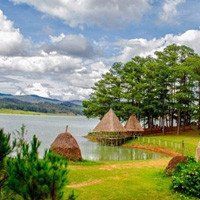 Cẩm nang du lịch Đà Lạt tháng 2