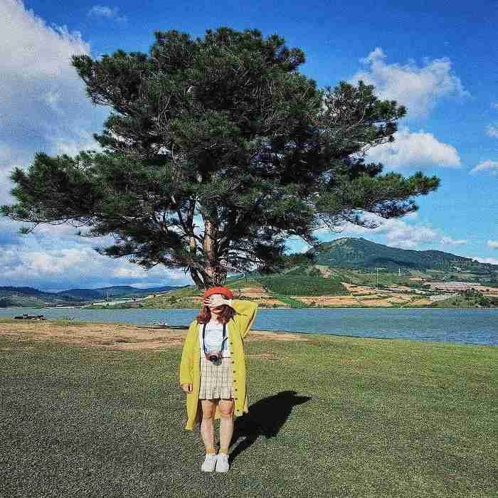 TOP những cây cô đơn checkin siêu HOT tại Đà Lạt