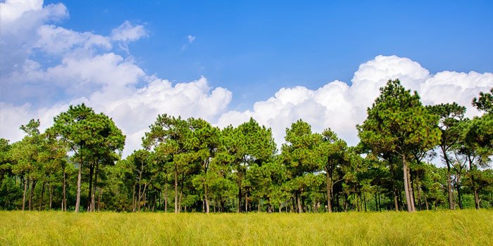 Review du lịch Hải Dương: Vùng đất địa linh nhân kiệt