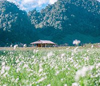 Khám phá Hang Táu - "làng nguyên thủy" tại Mộc Châu - Sơn La
