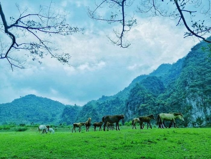 Du lịch Hữu Lũng, Lạng Sơn có gì hay?