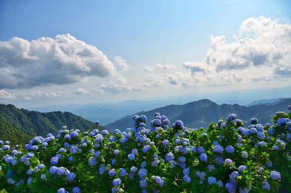 Tổng hợp kinh nghiệm du lịch Lạng Sơn 2022