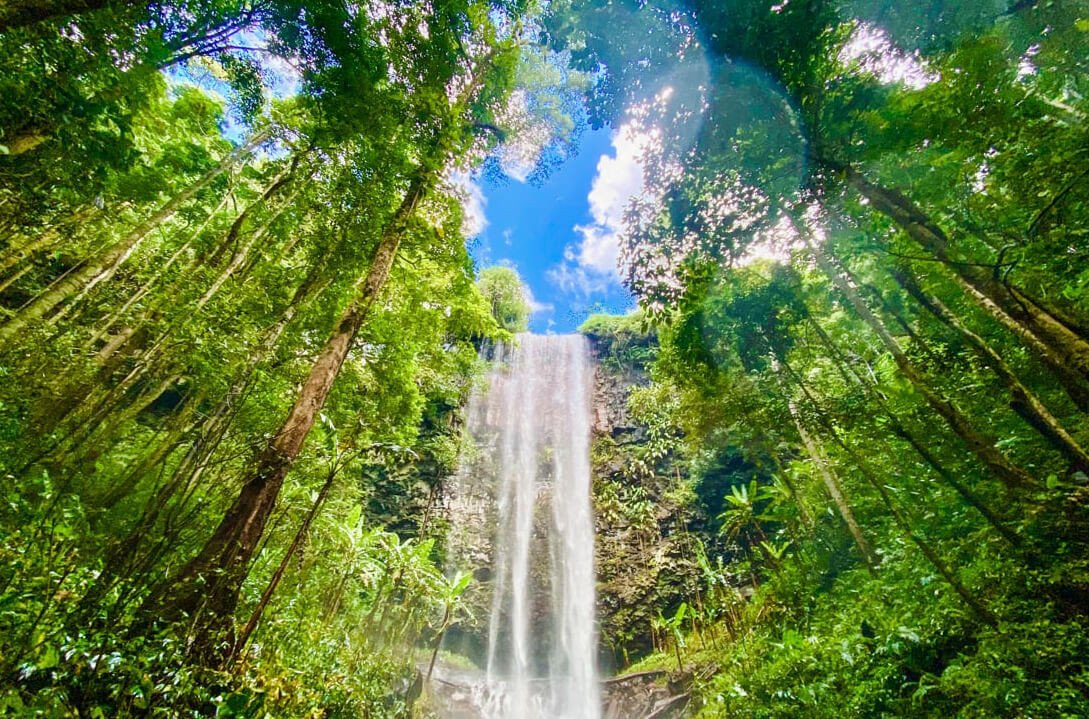 Du lịch Măng Đen - Đà Lạt 2 của Tây Nguyên hướng dẫn di chuyển