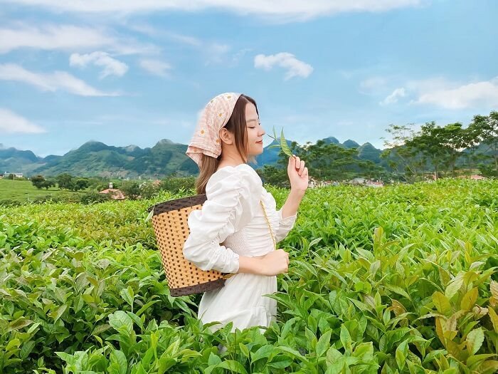 Mộc Châu - Sơn La