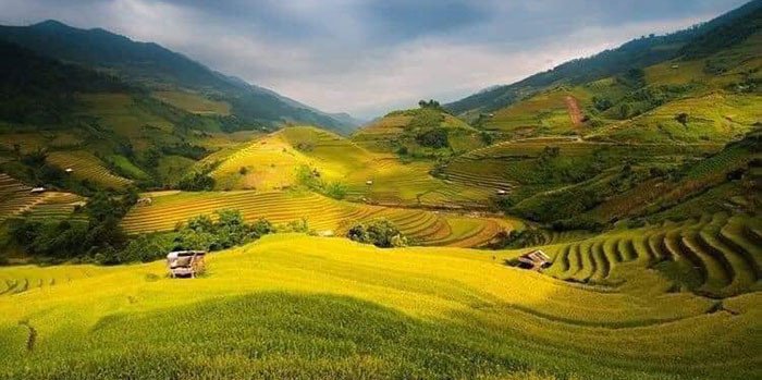 Review Mù Cang Chải - mảnh đất "đi dễ - khó về" tại Yên Bái