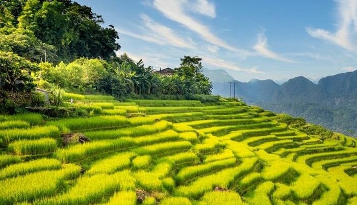 Bật mí bí kíp du lịch Pù Luông – Săn ảnh mùa lúa chín