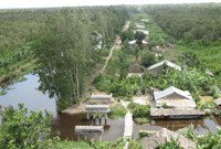 Khám phá Du lịch sinh thái Lung Ngọc Hoàng ở miệt Hậu Giang