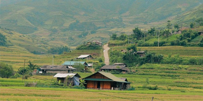 Lịch trình du lịch Tây Bắc 9N8Đ lang thang ngắm lúa chín