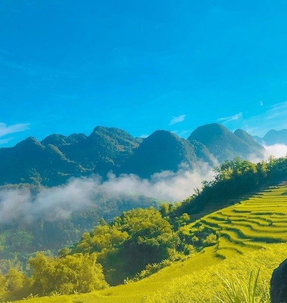 Du lịch Thanh Hóa nên mua gì về làm quà?