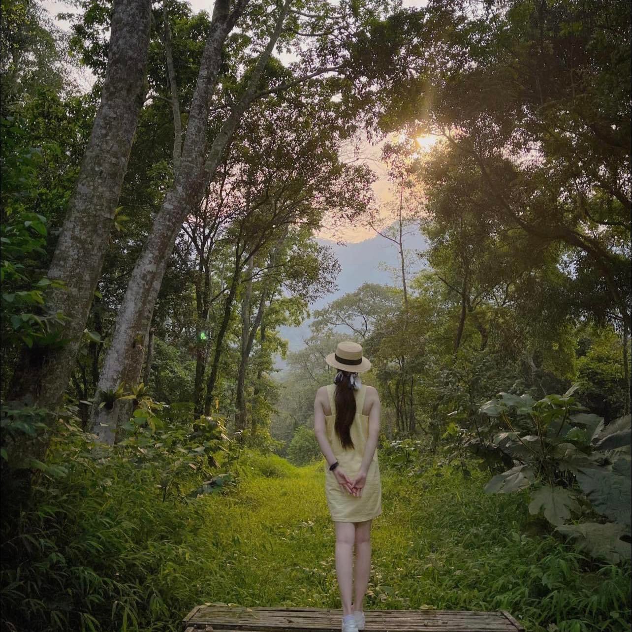 Khu du lịch sinh thái Thiên Sơn Suối Ngà - Điểm chill cực tuyệt gần Hà Nội