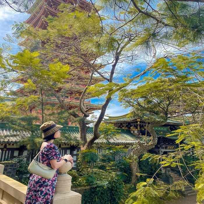 Du xuân 2023 – Tận hưởng mùa xuân tại Gia Lai