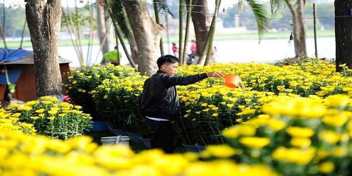 Tết 2023 Về Thừa Thiên Huế đi đâu