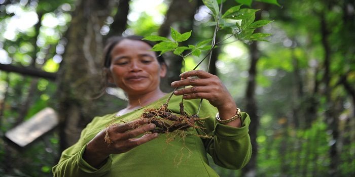 Điểm danh TOP 04 Đặc sản Măng Đen