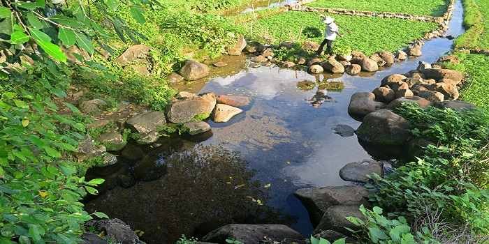 Giếng cổ Gio An – Địa điểm du lịch văn hóa đặc sắc tại Quảng Trị