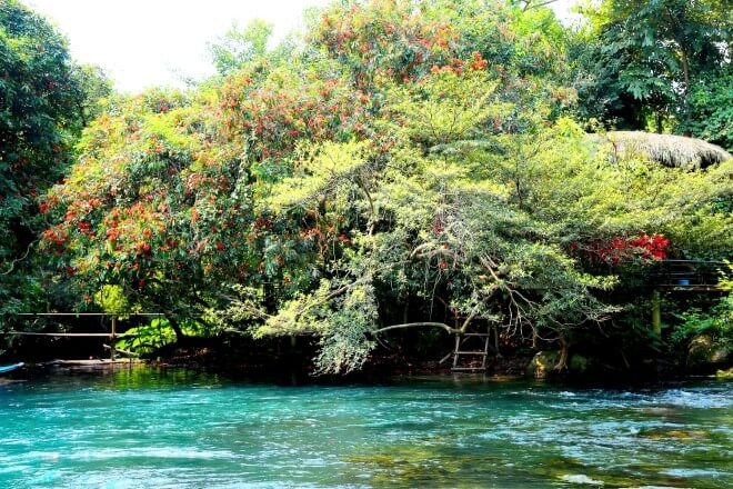 Khám phá thác Gió - vườn thực vật vô cùng lý thú tại Quảng Bình