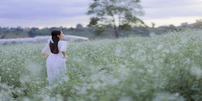 Tháng 11 đi Đà Lạt ăn và checkin dã quỳ - đồi cỏ hồng