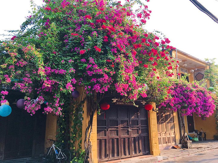 Đến Hội An ăn gì?