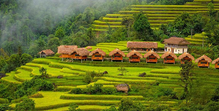Khám phá Hoàng Su Phì - địa điểm lí tưởng tại Hà Giang