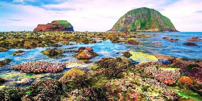 Hòn Yến Phú Yên – Viên ngọc thô chưa được khai thác